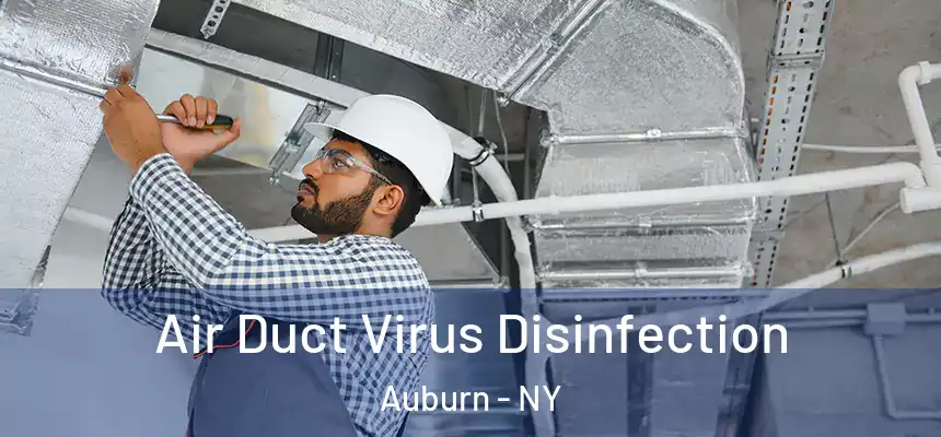  Air Duct Virus Disinfection Auburn - NY