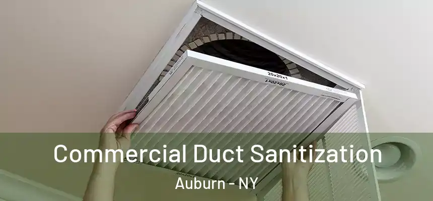Commercial Duct Sanitization Auburn - NY