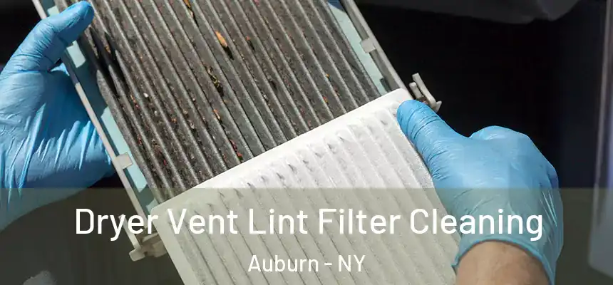 Dryer Vent Lint Filter Cleaning Auburn - NY