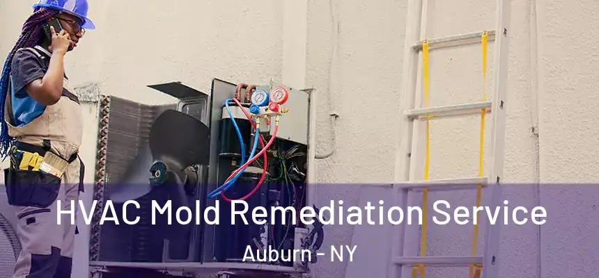  HVAC Mold Remediation Service Auburn - NY