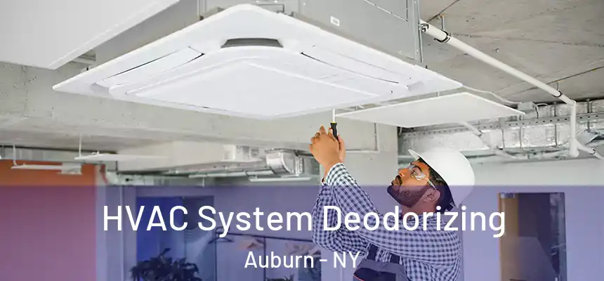 HVAC System Deodorizing Auburn - NY