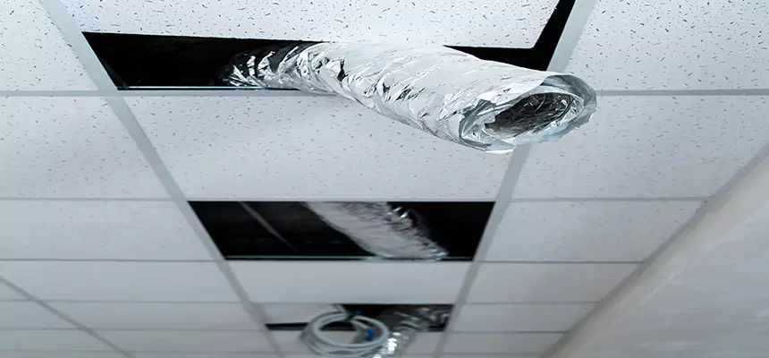 Our Air Duct Pet Hair Removal Services in Auburn, NY