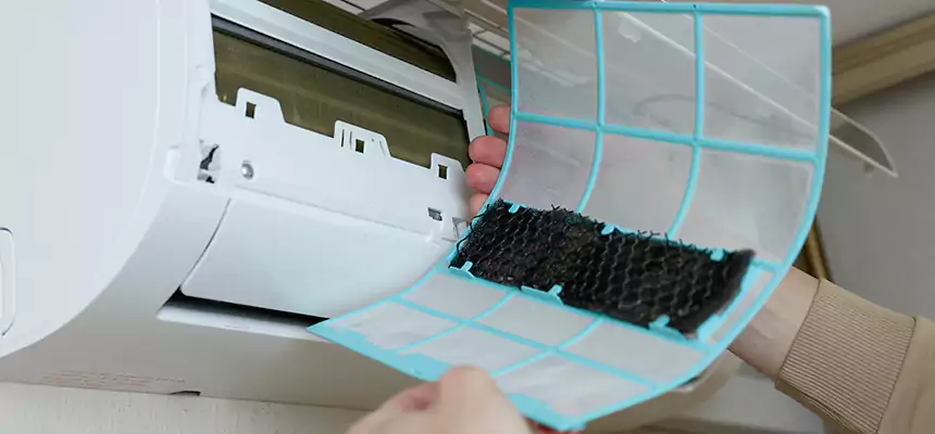 Gentle Ductwork Odor-Control Pet Dander Duct Cleaning in Auburn, NY