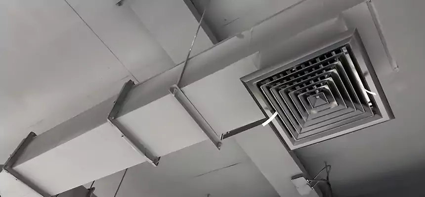 Our Rodent Droppings In Vents Services in Auburn, NY