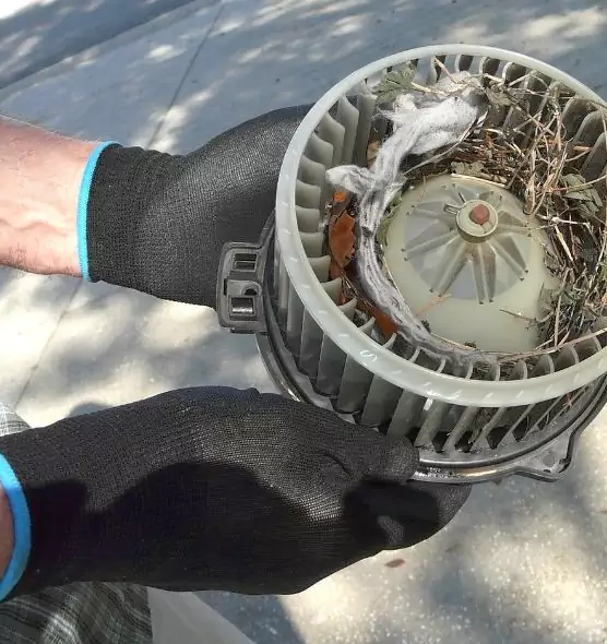 About Air Duct Mice Removal in Auburn, NY