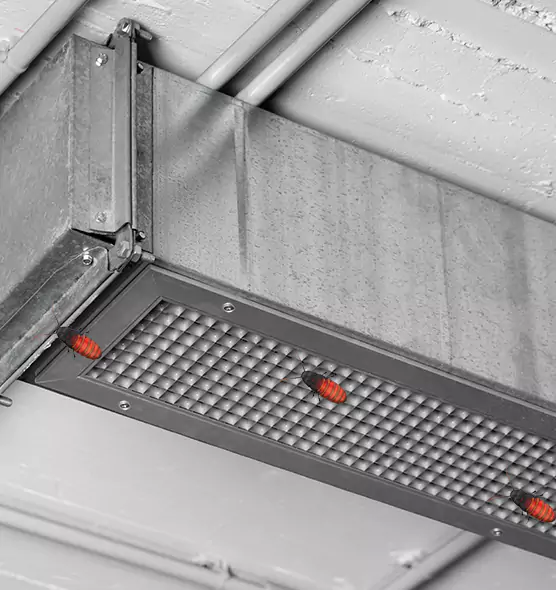 Affordable Insect Removal from Air Ducts in Auburn, NY