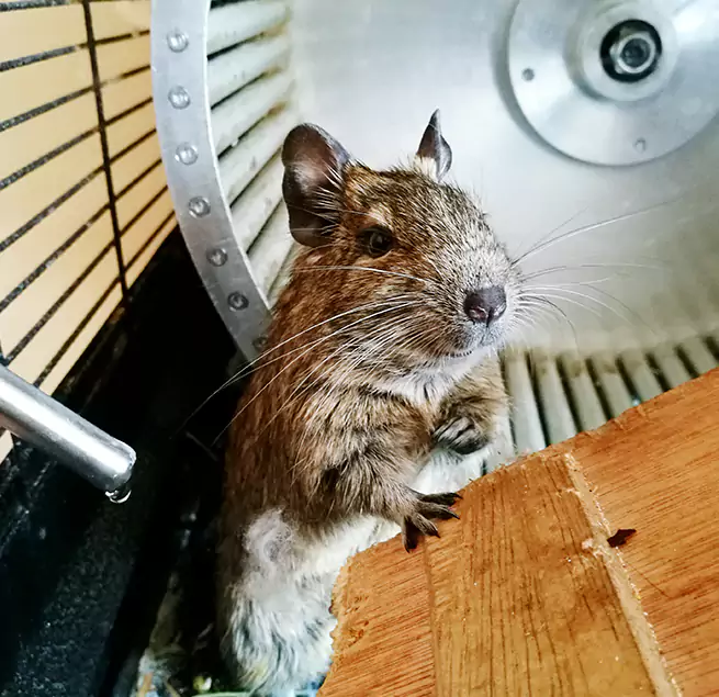 Why Homeowners & Businesses Trust Us Auburn, NY