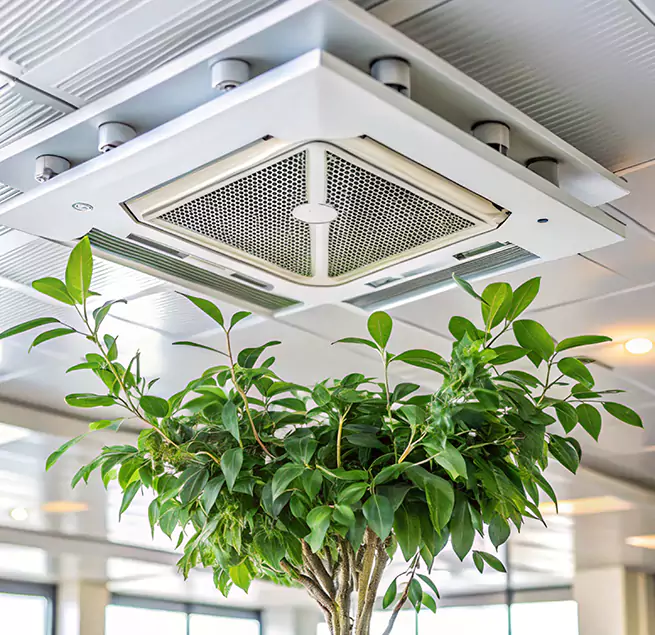 Why Homeowners & Businesses Trust Us in Auburn, NY