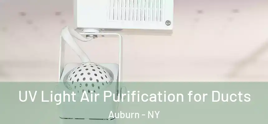  UV Light Air Purification for Ducts Auburn - NY